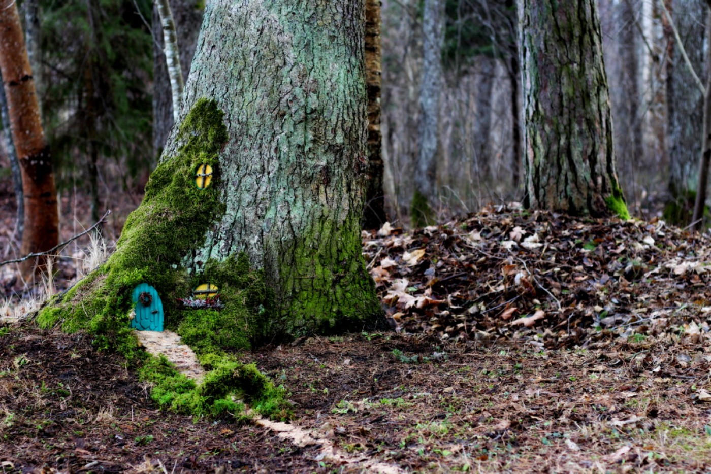 Kušš, kāds ir mājās!