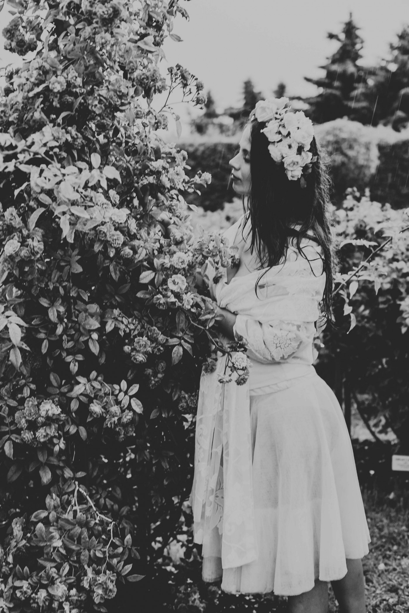 ĶERMEŅA KOPŠANAS PRODUKTI