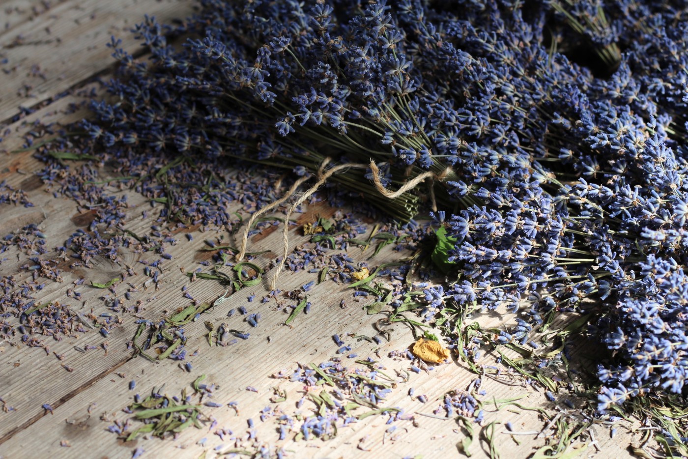 Klēpjiem violetas laimes